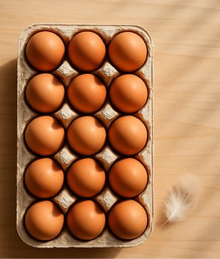 Organic eggs carton